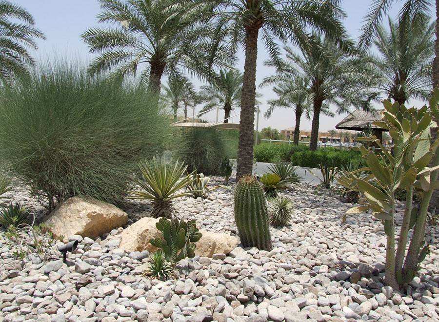 Landscape-contractors-in-Dubai