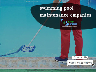 What should you know about pool maintenance and cleaning?