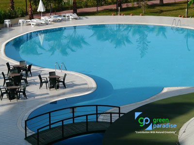 Install a useful and enticing lap pool in the backyard of your property