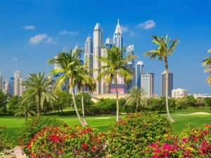 create-a-natural-aura-with-the-landscaping-company-dubai