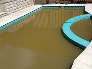 Unclean, murky water can destroy the aesthetics of your pool. Consequently, it is essential to properly maintain the swimming pool. The water in your pool is clear, which indicates that everything is in order. Indicators of improper pool maintenance include murky water and a dirty surface. Pooling in contaminated or dirty water can cause health issues. By working with Green Pts, the swimming pool services provider in Dubai, you can keep your pool area neat. You must take the following steps to ensure that your pool is clean and safe for swimming in. Timely Examine The Quality Of Water Check the pool's water's chemical composition regularly. Until the water quality is perfect, you cannot experience your ideal splashes. Examine the water's quality and take the necessary precautions or correct any issues that may arise. Don't freak out if a particular chemical is over the limit. Qualified pool care specialists can help stabilise the water's chemical composition. Pool Filter Should be Cleaned Every Month Regularly check the condition of your pool filter system. If the filters are clean and functioning properly, the aesthetic appeal of your swimming pool will last. Debris, dirt, leaves, and other impurities can be easily removed from your swimming pool with pool filters. If the filter system is neglected and not cleaned on a regular basis, contaminants will most likely accumulate in it. The clogged filter system will eventually cause problems. Cleaning the pool filter should be done once a month during the peak season. Get in contact with the best swimming pool contractors companies in Dubai. These technological subtleties are significantly more deeply understood by their professionals. Consistent Maintenance Schedule By Skilled Experts Similar to how our car needs technical maintenance and our swimming pool needs to be cleaned by trained personnel, our house needs a thorough cleaning. Pool servicing includes general pool cleaning, pump and filter malfunction testing, and tile cleaning. Algal growth is one problem that can be avoided with routine maintenance. The growth of algae could be problematic for swimmers. Keep up a consistent maintenance schedule to prevent algae buildup. Consult the experts at the swimming pool services provider in Dubai for tips on how to keep your pool in the best possible shape. Excellent Maintenance Assistance For outstanding outcomes, get in touch with swimming pool contractors in Dubai who employ the newest technology, tried-and-true methods, and best practices. They experience a sense of relief when our pool is maintained by a qualified professional. You are aware that knowledgeable professionals will assess the pool's condition and offer maintenance assistance. Enjoying the splashes and avoiding the heat is all that is required.
